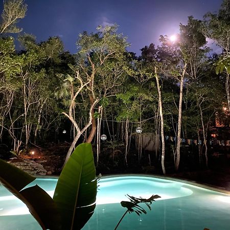 فندق Casa Arkaana Eco Retreat تولوم المظهر الخارجي الصورة